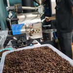 Quality control of roasted coffee beans