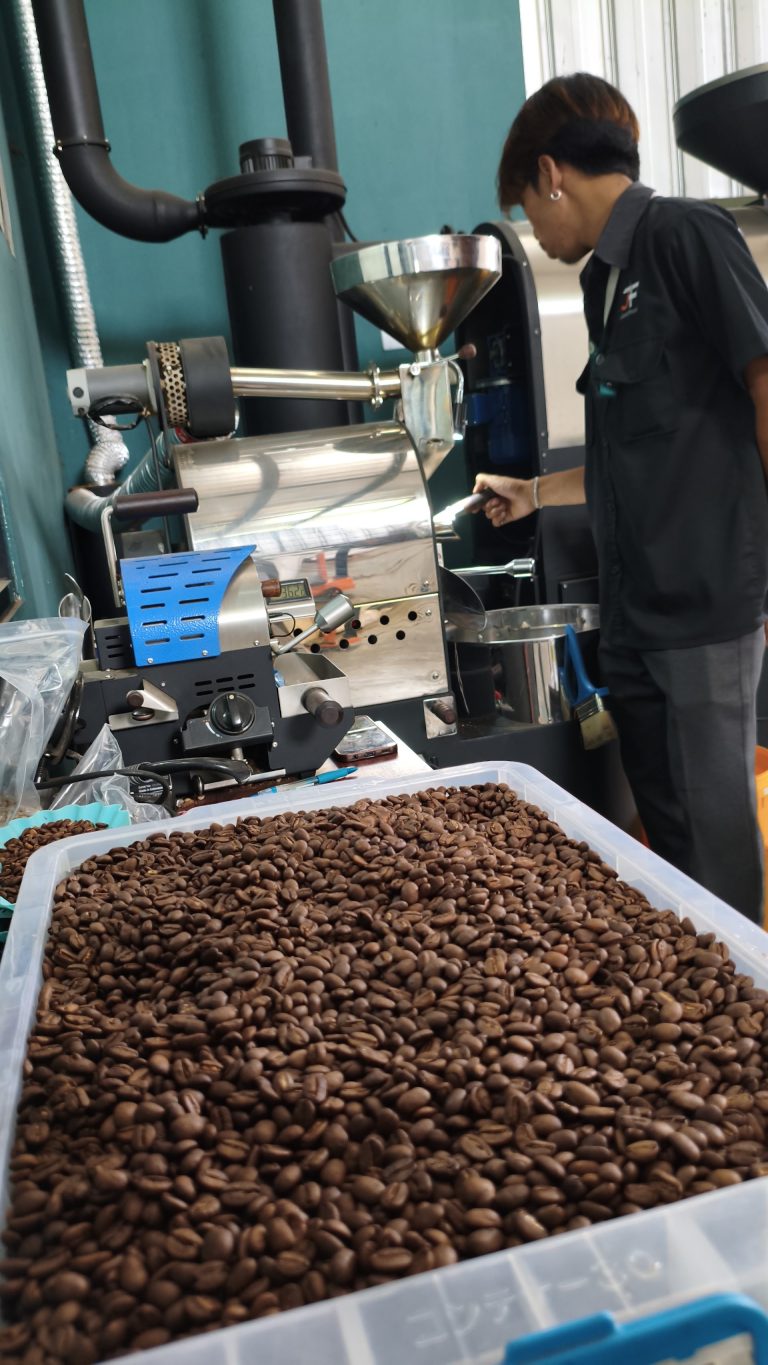 Quality control of roasted coffee beans